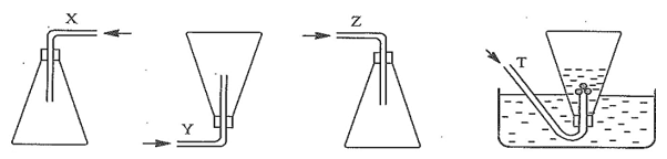 (Ôn thi ĐGNL, ĐGTD) Chuyên đề: Nitrogen và sulfur