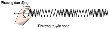 (Ôn thi ĐGNL, ĐGTD) Chuyên đề: Sóng