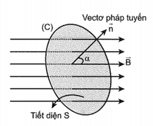 (Ôn thi ĐGNL, ĐGTD) Chuyên đề: Từ trường