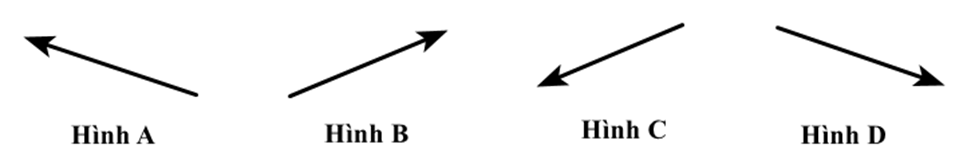 10+ Đề thi ĐGNL Bộ Quốc phòng phần Khoa học (có lời giải)