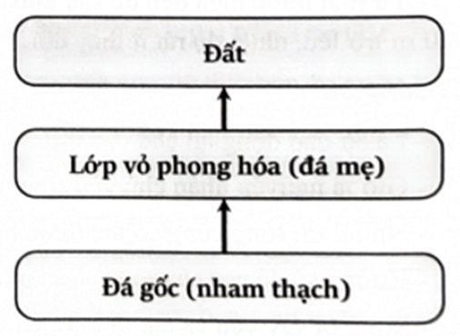 (Ôn thi ĐGNL HSA, VACT) Sinh quyển