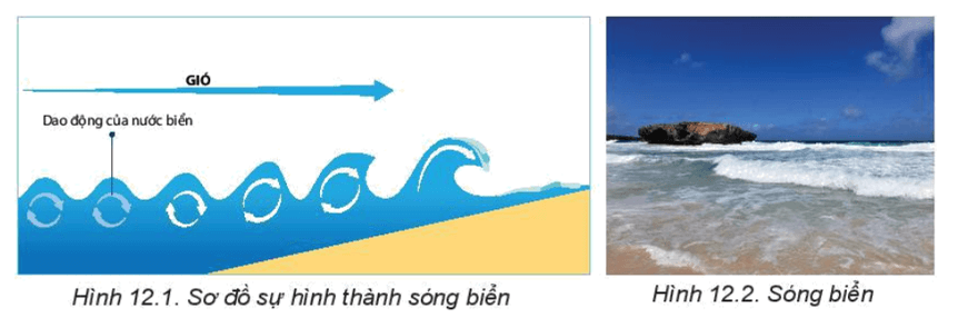 Lý thuyết Địa Lí 10 Kết nối tri thức Bài 12: Nước biển và đại dương