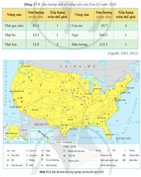 Xác định sự phân bố một số cây trồng và vật nuôi chính của Hoa Kỳ trên bản đồ (ảnh 2)