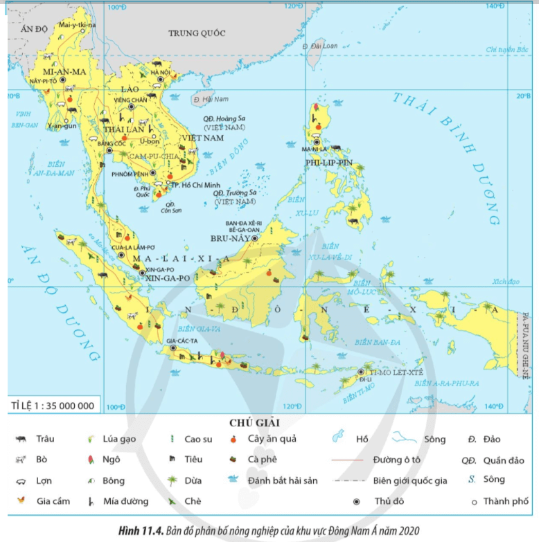 Lý thuyết Địa Lí 11 Cánh diều Bài 11: Vị trí địa lí, điều kiện tự nhiên, dân cư, xã hội và kinh tế khu vực Đông Nam Á