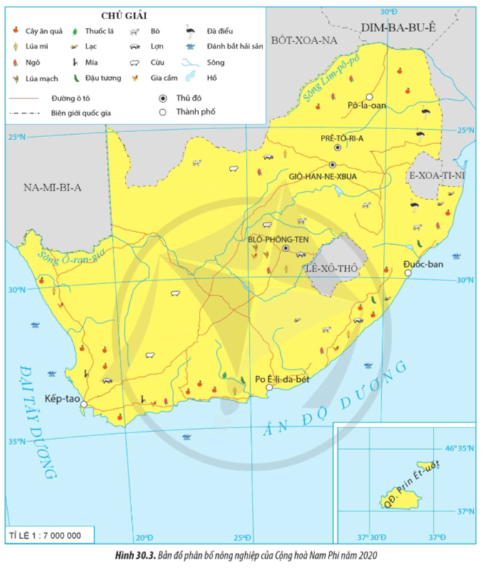 Lý thuyết Địa Lí 11 Cánh diều Bài 30: Kinh tế Cộng hòa Nam Phi