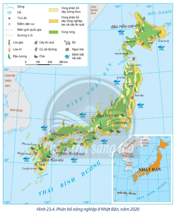 Nhận xét đặc điểm phân bố ngành nông nghiệp của Nhật Bản