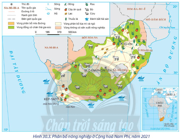 Trình bày đặc điểm nổi bật của ngành nông nghiệp ở cộng hòa Nam Phi