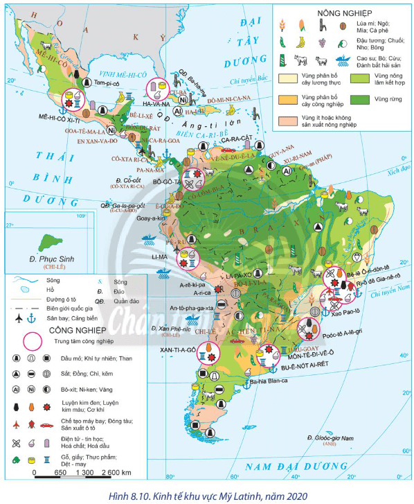 Lý thuyết Địa Lí 11 Chân trời sáng tạo Bài 8: Tự nhiên, dân cư, xã hội và kinh tế Mỹ Latinh