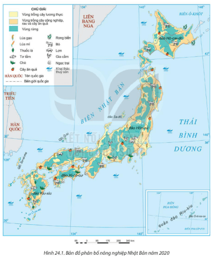  Dựa vào bản đồ phân bố nông nghiệp Nhật Bản nêu sự phân bố một số sản phẩm nông nghiệp của Nhật Bản