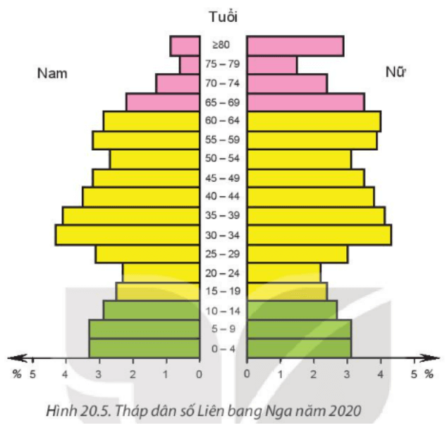 Dựa vào hình 20.5 hãy phân tích cơ cấu giới tính và tuổi của dân số Liên Bang Nga