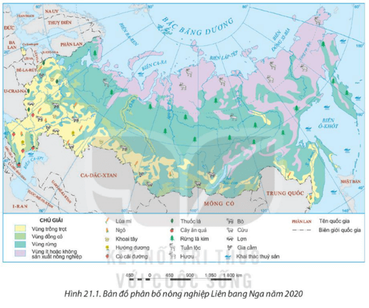 Dựa vào bản đồ hình 21.1 nhận xét sự phân bố các cây trồng và vật nuôi chính của Liên bang Nga