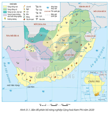 Lý thuyết Địa Lí 11 Kết nối tri thức Bài 31: Kinh tế Cộng hòa Nam Phi