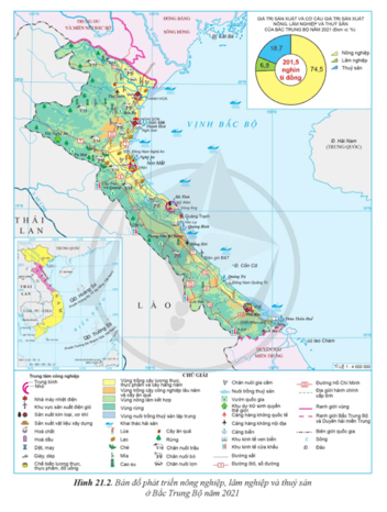 Lý thuyết Địa Lí 12 Cánh diều Bài 21: Phát triển nông nghiệp, lâm nghiệp và thuỷ sản ở Bắc Trung Bộ