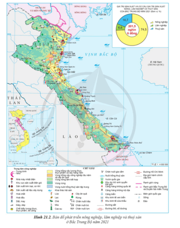 Lý thuyết Địa Lí 12 Cánh diều Bài 21: Phát triển nông nghiệp, lâm nghiệp và thuỷ sản ở Bắc Trung Bộ