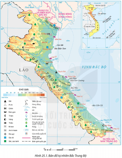 Lý thuyết Địa Lí 12 Kết nối tri thức Bài 25: Phát triển nông nghiệp, lâm nghiệp và thuỷ sản ở Bắc Trung Bộ
