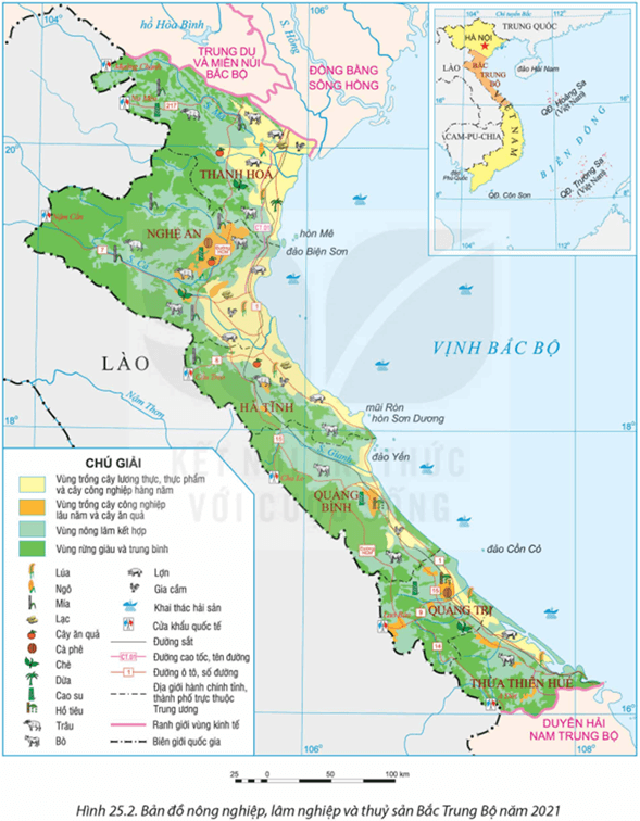 Lý thuyết Địa Lí 12 Kết nối tri thức Bài 25: Phát triển nông nghiệp, lâm nghiệp và thuỷ sản ở Bắc Trung Bộ