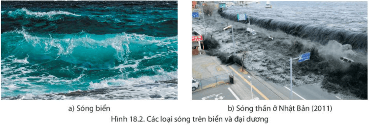 Lý thuyết Địa Lí 6 Bài 18: Biển và đại dương | Chân trời sáng tạo