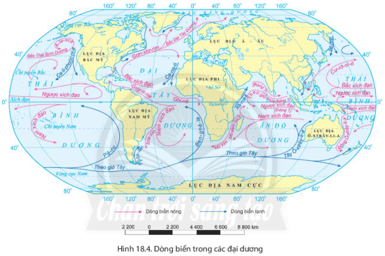 Lý thuyết Địa Lí 6 Bài 18: Biển và đại dương | Chân trời sáng tạo