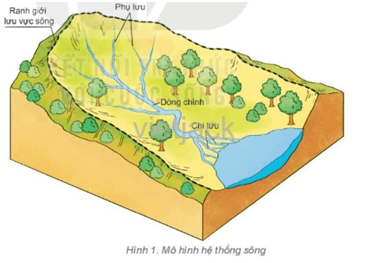 quan sát hình 1, em hãy mô tả các bộ phận của một dòng sông lớn