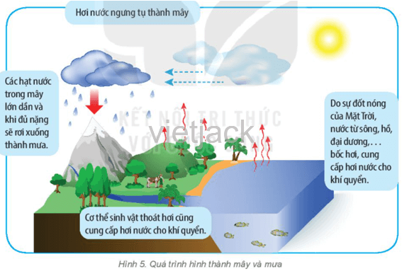 Độ ẩm: Hình ảnh có liên quan đến độ ẩm sẽ giúp bạn hiểu rõ hơn về tác động của nó đến môi trường và con người. Bạn sẽ cảm thấy thú vị khi tìm hiểu các biện pháp để kiểm soát và ổn định độ ẩm trong không gian sống của mình.