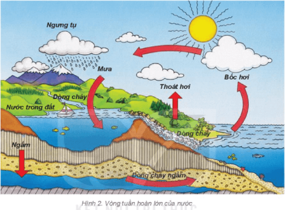 Lý thuyết Địa Lí 6 Bài 19: Thủy quyển và vòng tuần hoàn lớn của nước | Kết nối tri thức
