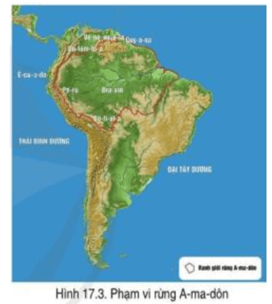 Đọc thông tin và quan sát hình 17.3, cho biết đặc điểm rừng nhiệt đới A-ma-dôn