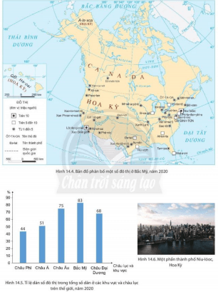 Dựa vào hình 14.4, 14.5, 14.6 và thông tin trong bài, phân tích vấn đề đô thị hóa ở Bắc Mỹ