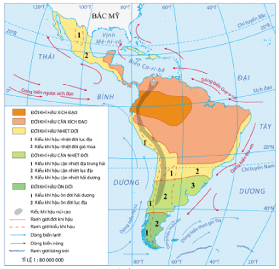 Lý thuyết Địa Lí 7 Kết nối tri thức Bài 16: Đặc điểm tự nhiên Trung và Nam Mỹ