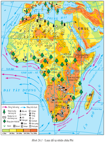 Lý thuyết Địa Lí 7 Kết nối tri thức Bài 9: Vị trí địa lí, đặc điểm tự nhiên châu Phi