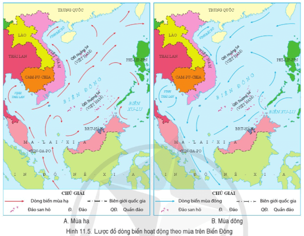 Lý thuyết Địa Lí 8 Cánh diều Bài 11: Phạm vi Biển Đông: Các vùng biển của Việt Nam ở Biển Đông: Đặc điểm tự nhiên vùng biển đảo Việt Nam