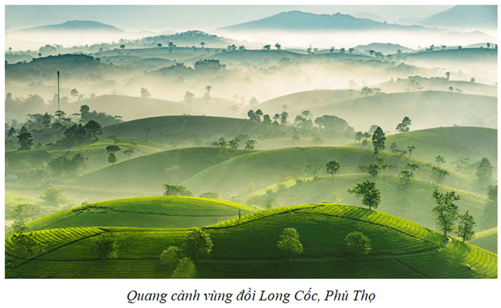 Lý thuyết Địa Lí 8 Cánh diều Bài 2: Địa hình Việt Nam