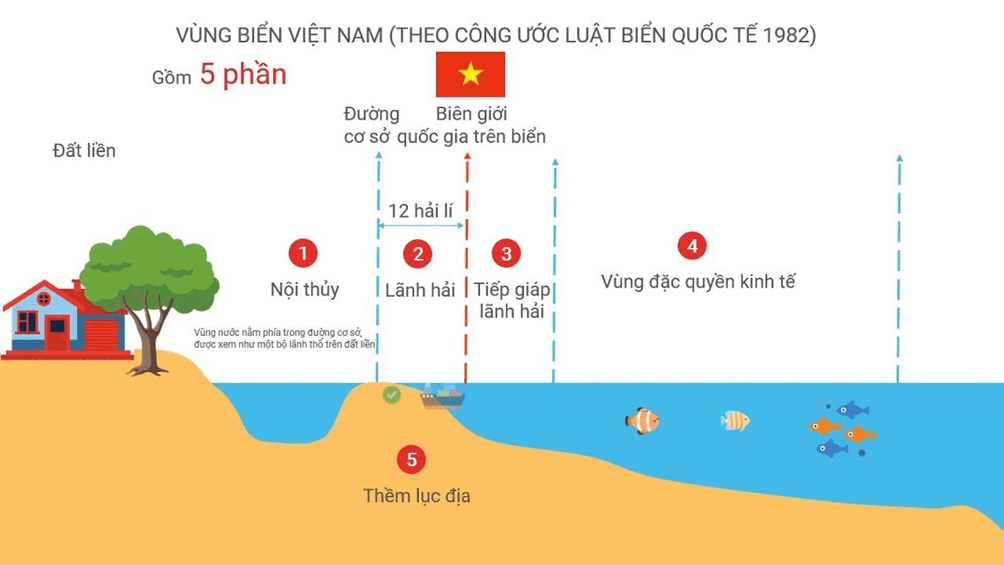 Lý thuyết Địa Lí 8 Chân trời sáng tạo Bài 14: Vị trí địa lí Biển Đông, các vùng biển của Việt Nam