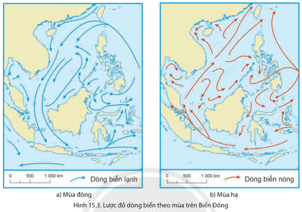 Lý thuyết Địa Lí 8 Chân trời sáng tạo Bài 15: Đặc điểm tự nhiên, môi trường và tài nguyên vùng biển đảo Việt Nam