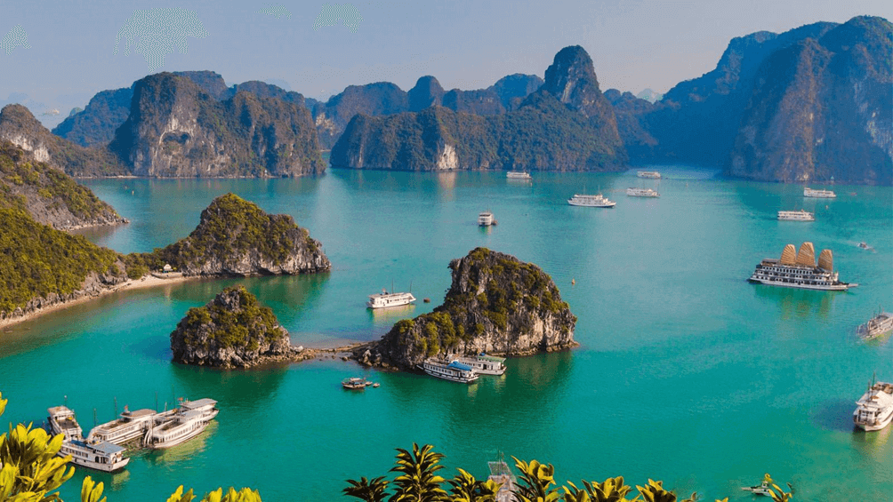 Lý thuyết Địa Lí 8 Chân trời sáng tạo Bài 15: Đặc điểm tự nhiên, môi trường và tài nguyên vùng biển đảo Việt Nam