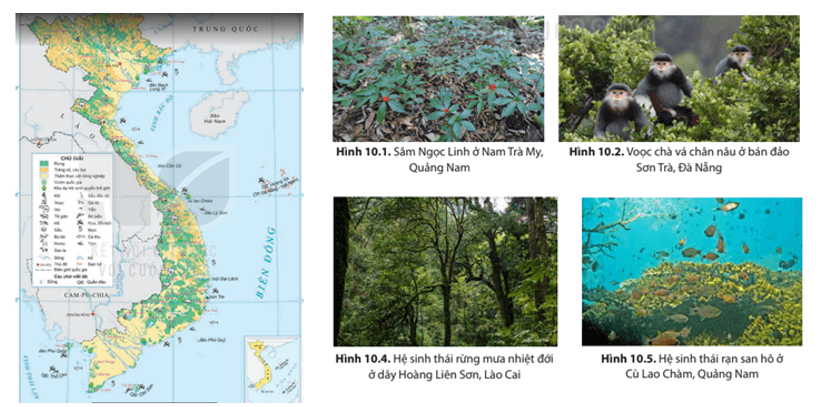 Dựa vào thông tin các hình ảnh trong mục 1 hãy chứng minh sự đa dạng của sinh vật ở Việt Nam