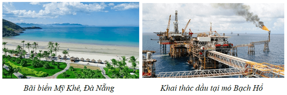 Lý thuyết Địa Lí 8 Kết nối tri thức Bài 12: Môi trường và tài nguyên thiên nhiên biển đảo Việt Nam