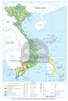 Dựa vào hình 4.1, bảng 4.3 và thông tin trong bài, hãy phân tích đặc điểm phân bố tài nguyên rừng 