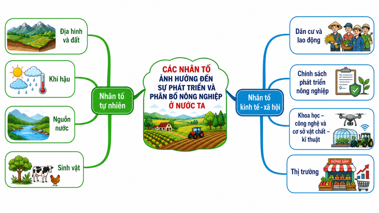 Vẽ sơ đồ thể hiện các nhân tố ảnh hưởng đến sự phát triển và phân bố