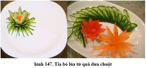 Lý thuyết Công nghệ 6 Bài 24: Thực hành - Tỉa hoa trang trí món ăn từ một số loại rau, củ , quả (hay, chi tiết)