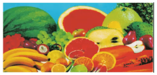 Lý thuyết Công nghệ 9 Bài 1: Giới thiệu nghề trồng cây ăn quả