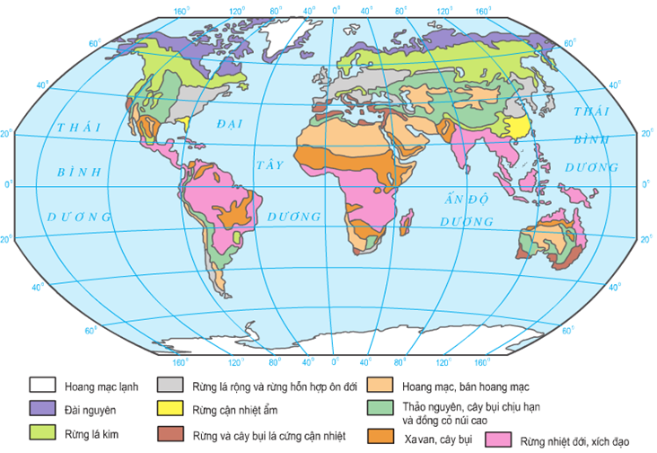 Địa Lí 10 Bài 19: Sự phân bố của sinh vật và đất trên Trái Đất