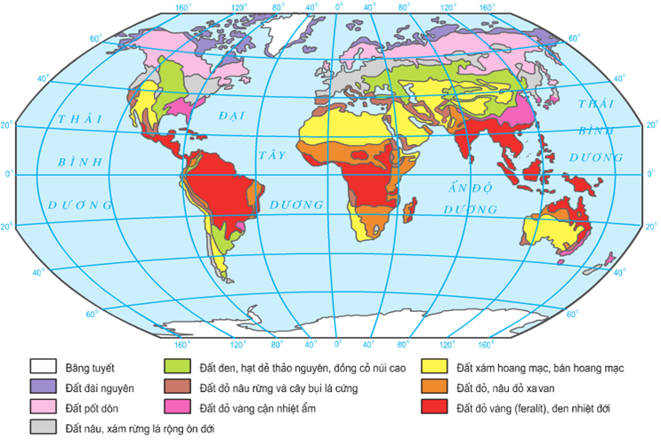 Lý thuyết Địa Lí 10 Bài 19: Sự phân bố của sinh vật và đất trên Trái Đất | Lý thuyết Địa Lí 10 ngắn gọn