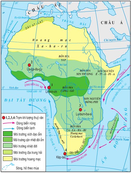 Lý thuyết Địa Lí 7 Bài 27: Thiên nhiên châu Phi hay, chi tiết ...