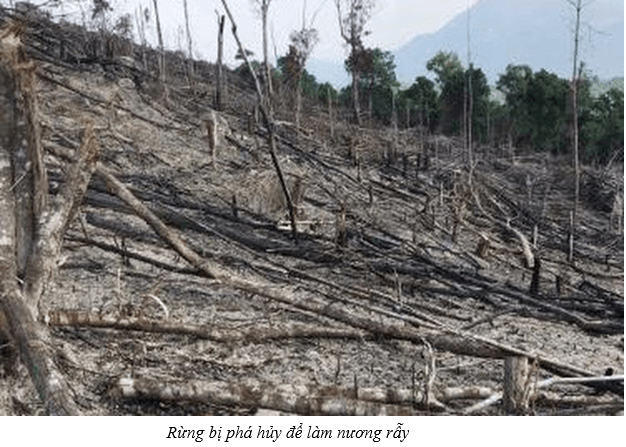 Địa Lí 8 Bài 38: Bảo vệ tài nguyên sinh vật Việt Nam