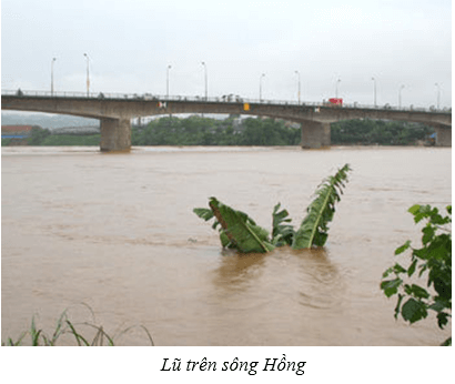 Địa Lí 8 Bài 33: Đặc điểm sông ngòi Việt Nam