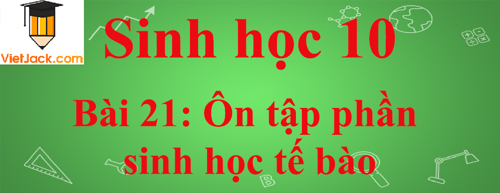 Sinh học lớp 10 Bài 21: Ôn tập phần sinh học tế bào ngắn nhất