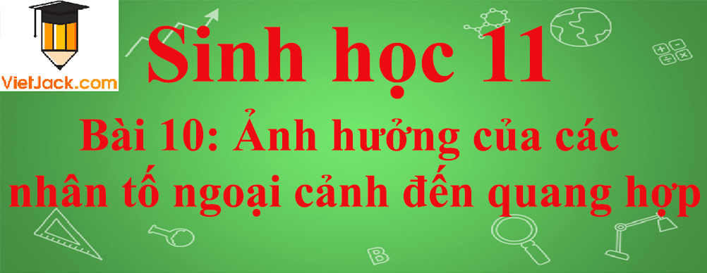 Sinh học lớp 11 Bài 10 ngắn nhất: Ảnh hưởng của các nhân tố ngoại cảnh đến quang hợp