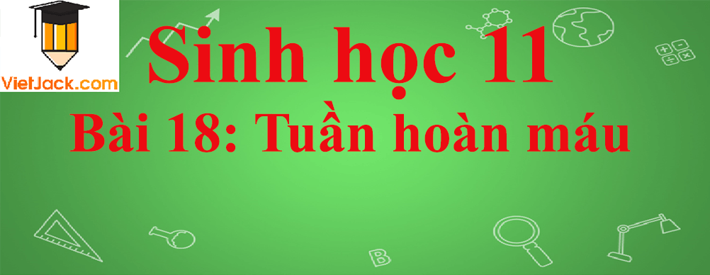 Sinh học lớp 11 Bài 18 ngắn nhất: Tuần hoàn máu