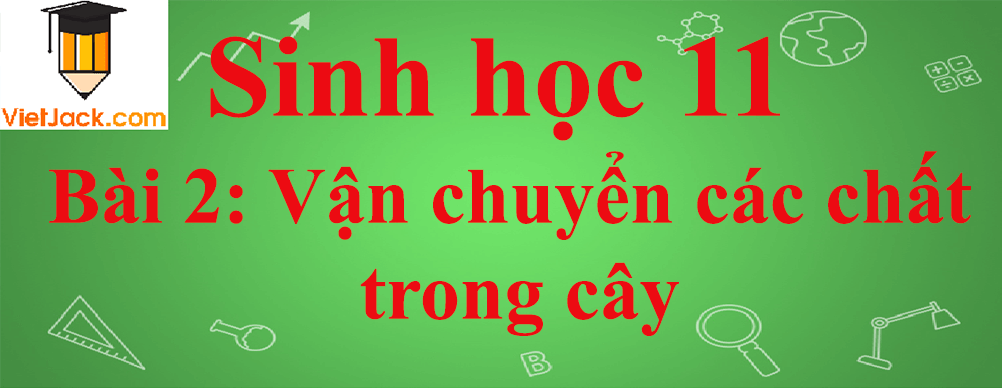 Sinh học lớp 11 Bài 2 ngắn nhất: Vận chuyển các chất trong cây