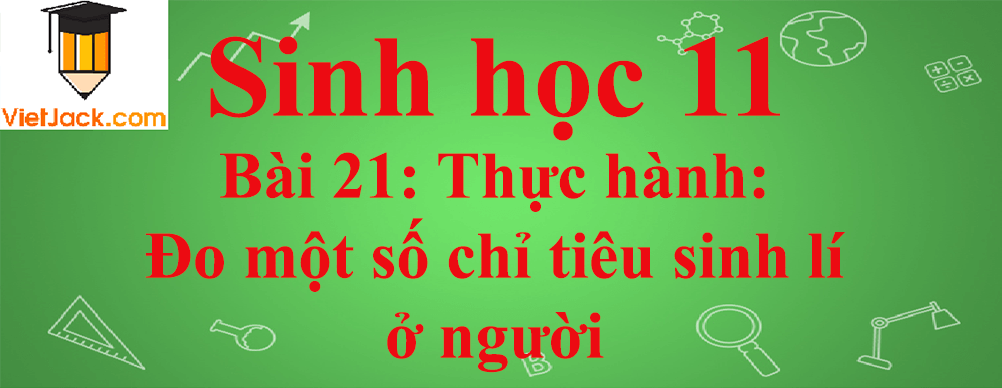 Sinh học lớp 11 Bài 21 ngắn nhất: Thực hành: Đo một số chỉ tiêu sinh lí ở người